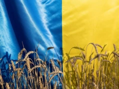Ukraina w UE najmocniej uderzy w zboża i oleiste. Polska może zyskać gdzie indziej