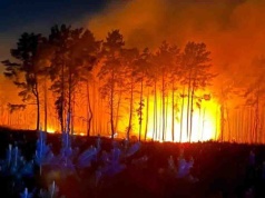 Krotoszyn. Duży pożar lasu wybuchł w środku nocy, walka z ogniem trwała pięć godzin