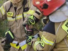 Ratunek dla sarny przy ul. Mogilskiej. Zwierzę trafiło do ośrodka