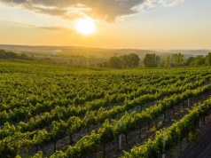 Odwiedź Cricovę – podziemne miasto wina 🍇🍷 Wakacyjna wycieczka do Mołdawii za 362 PLN ☀️🌡️