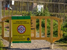 Hiszpania walczy z groźną chorobą. Nowe ograniczenia i wielomilionowe wsparcie