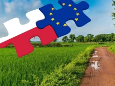 Ile polski rolnik dostał z Unii? Bilans 22 lat