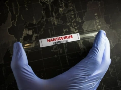 Trzy ofiary śmiertelne spowodowane hantawirusami. GIS i WHO o zagrożeniach