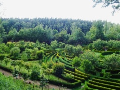Co to jest Arboretum Bramy Morawskiej? Wyjątkowe miejsce krainy Górnej Odry