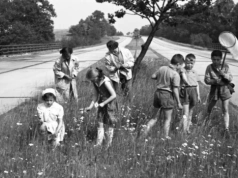 Rodzinny piknik na środkowym pasie A4. Te zdjęcia to unikaty!