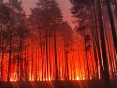 Tragedia podczas gaszenia lasu na Roztoczu. Rozbił się samolot gaśniczy, jedna osoba nie żyje AKTUALIZACJA