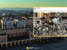 Rój pszczół obsiadł rower w Krakowie. Nagranie niesie się po sieci