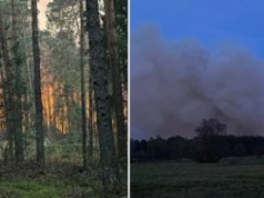 Katastrofa podczas gaszenia pożaru lasu. Nowe informacje od służb