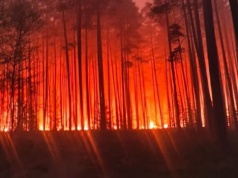 Samolot runął podczas akcji gaśniczej w powiecie biłgorajskim. Nie żyje jedna osoba