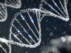 Nanopierścienie DNA. Przełomowe narzędzie do badania i kontrolowania białek