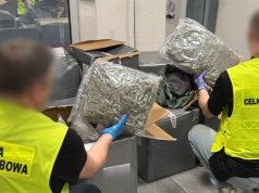 Marihuana ukryta w ubraniach. Spektakularna akcja służb na Mazowszu
