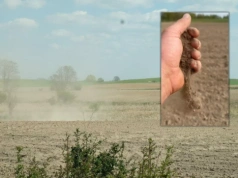 „Sytuacja na polach jest krytyczna”. Rolnicy żądają pilnych komisji suszowych