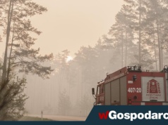 250 ha lasu w ogniu. W akcji gaśniczej zginął pilot