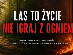 Leśnicy alarmują: susza i wysokie temperatury sprzyjają pożarom lasów