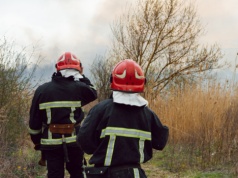Lasy płoną jak zapałki. Ten błąd najczęściej kończy się pożarem