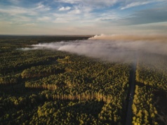 Kraków wysłał strażaków do ogromnego pożaru. Dramatyczna akcja w lasach Lubelszczyzny