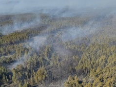 Ogień trawi Puszczę Solską. Zdjęcia satelitarne pokazują ogromną skalę