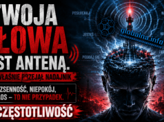 TWOJA GŁOWA JEST ANTENĄ. KTOŚ WŁAŚNIE PRZEJĄŁ NADAJNIK” – „BEZSENNOŚĆ, NIEPOKÓJ, CHAOS – TO NIE PRZYPADEK. TO CZĘSTOTLIWOŚĆ”