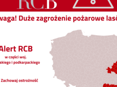 Alert RCB dla Podkarpacia. Duże zagrożenie pożarowe lasów, bezwzględny zakaz używania ognia