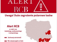 Alert RCB dla Krakowa i Małopolski. Wysokie zagrożenie pożarowe, deszcz dopiero od czwartku