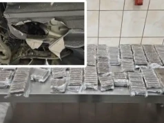 Przemyt wart miliony udaremniony. KAS przejęła 40 kg haszyszu