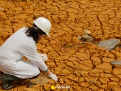 "Problemy wynikające ze zmian klimatu sięgają już Europy Północnej". Naukowcy alarmują