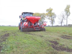 Nie tylko azot i wapno. Tych mikroelementów może brakować na łąkach