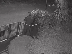 „Gang oświetleniowy” uderzył na Pogodnie. Łupem padły… lampki z drzewa i płotu