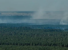 Działalność prehistorycznych rolników sprzyjała pożarom lasów