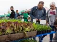 Smaki regionu wracają do Parku Papieskiego. Kolejna edycja Podkarpackiego Bazarku już w sobotę