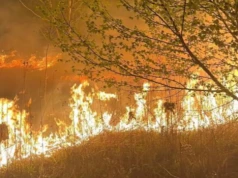 Seria pożarów w gminie Skórzec. 36 interwencji, nocne pożary i podejrzenia podpaleń