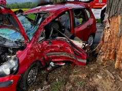 Mandat nie pomógł. 30-latek chwilę później roztrzaskał się na drzewie