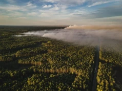 Polski park narodowy zamknięty do odwołania. Ważny apel w kolejnym