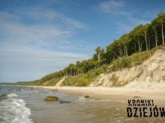 Największe miasto średniowiecznej Europy. Czy "słowiańska Atlantyda" naprawdę istniała?