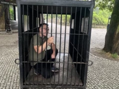 Na kaca niedźwiedź z rurką w wątrobie. W zoo we Wrocławiu możesz wejść do malutkiej klatki