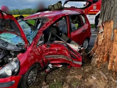 Dostał mandat za prędkość. Kilka minut później rozbił auto na drzewie