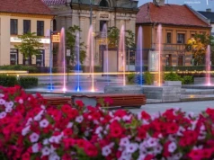 Dzieje się w weekend w Tomaszowie! Sprawdź wydarzenia na 8-10 maja