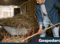 Fatalna kondycja finansowa gospodarstw rolnych