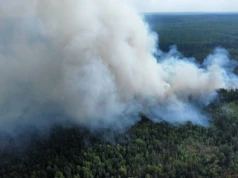 Trwa dramatyczna walka z ogniem w powiecie szydłowieckim. Spłonęło kilkadziesiąt hektarów!