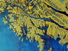Sentinel-1D w pełni operacyjny