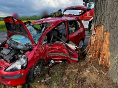 Dostał mandat za prędkość. Kilka minut później rozbił się na drzewie