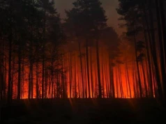 Trwa gaszenie pożaru w Puszczy Solskiej. Powierzchnia pogorzeliska to 300 ha