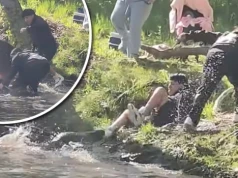 Bóbr pogryzł 8-latka. Miał wściekliznę. Sieć obiegło dramatyczne nagranie