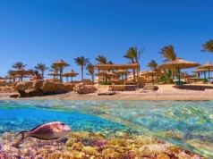 Albatros Aqua Park w Hurghadzie 🌊🎢 Tydzień z all inclusive za 2679 PLN