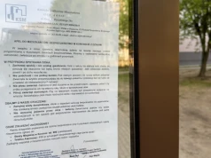 Dziki coraz częściej w centrum Konina. KSM apeluje do mieszkańców