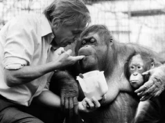 Pokazał ludziom, jak wyniszczyli planetę. David Attenborough ma jeden cel