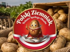 Polski ziemniak kontra młody z importu. Rząd pomoże rolnikom sprzedać nadwyżki
