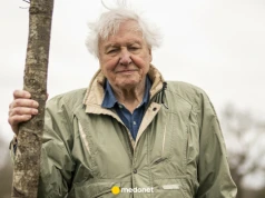 David Attenborough skończył 100 lat. Oto jego sposób, żeby żyć długo w zdrowiu