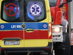 Zderzenie osobówki i ciężarówki na drodze krajowej nr 48 w Przytocznie. Ruch odbywa się wahadłowo