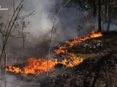 Ogromny pożar w Ukrainie. Płonie Strefa Wykluczenia